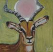 Antilope.jpg