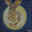 Hase im Mond.jpg