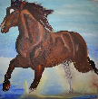 Pferd.png