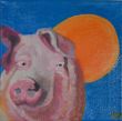 Schweinchen vor orangener Sonne.jpg
