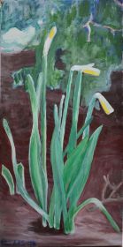 3 narzissen 1000.jpg