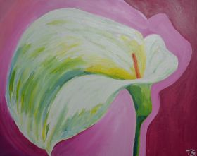Calla Lilie.jpg